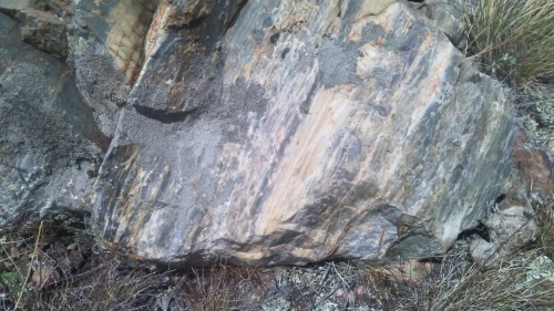 Гигантские зелёные валуны для ландшафтного дизайна весом более 5 тонн купить в Можайску