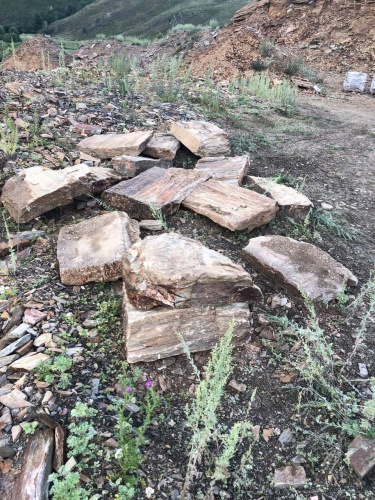 Пошаговая дорожка из плит златолит кора дерева купить в Можайску